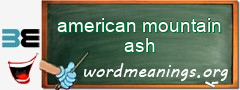WordMeaning blackboard for american mountain ash